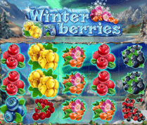 Winterberries